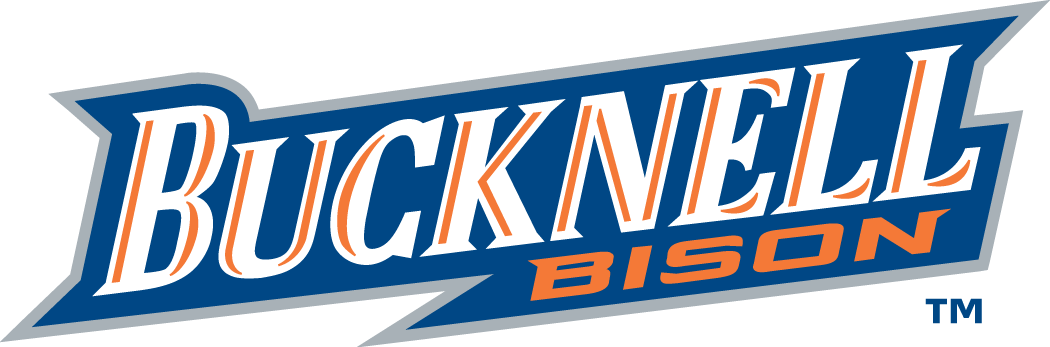 Bucknell Bison 2002-Pres Wordmark Logo v2 iron on transfers for T-shirts